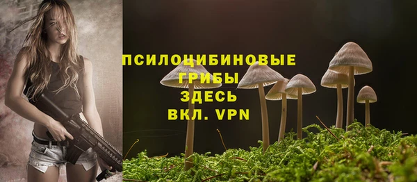 mix Алексин