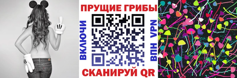 Галлюциногенные грибы Psilocybine cubensis  Алушта 